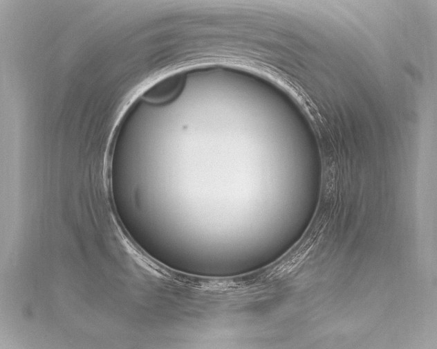 X0000116291535200911301408