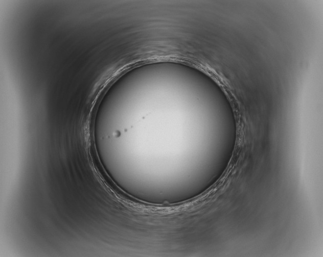 X0000116290002200912071220