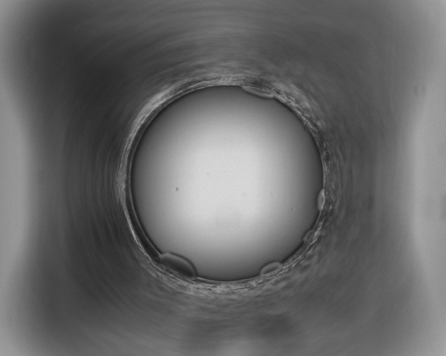 X0000116290003200912071220