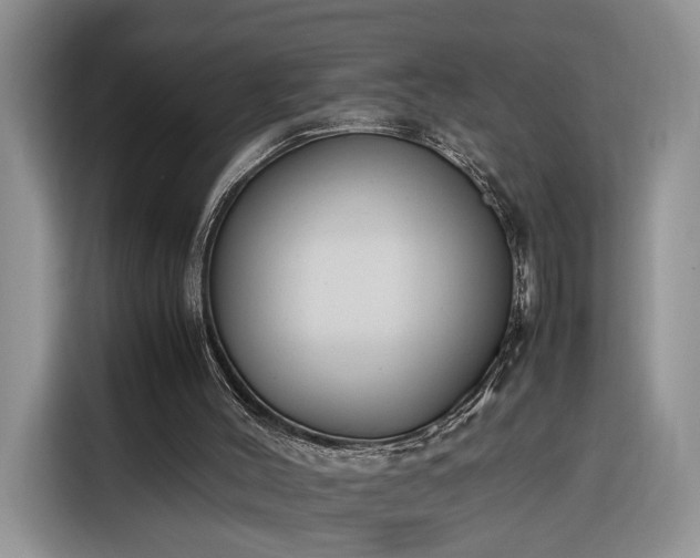 X0000116290004200912071220