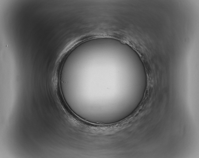 X0000116290005200912071220