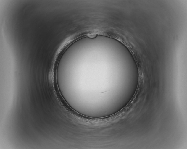 X0000116290006200912071220