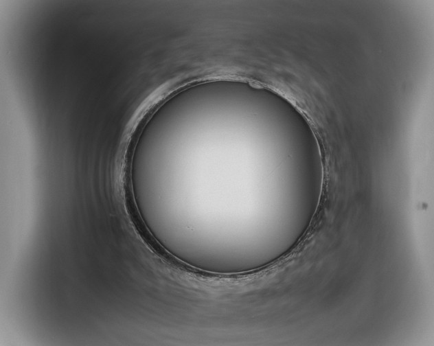 X0000116290007200912071220