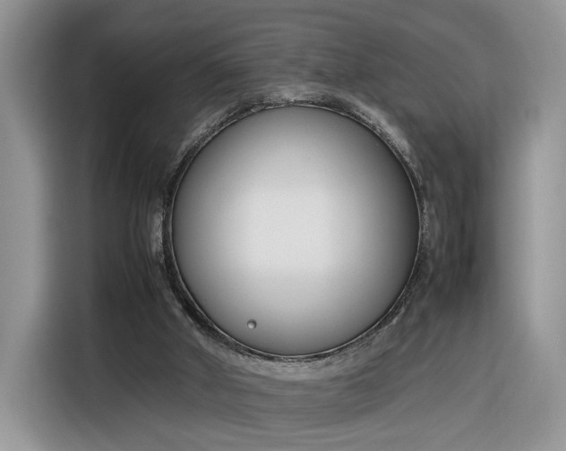 X0000116290010200912071220