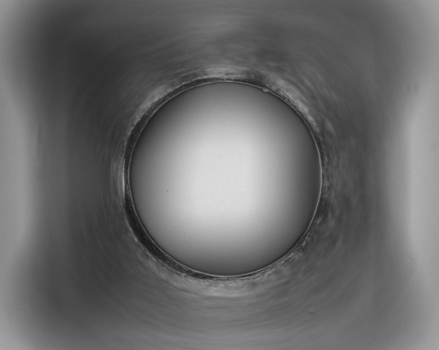 X0000116290011200912071220