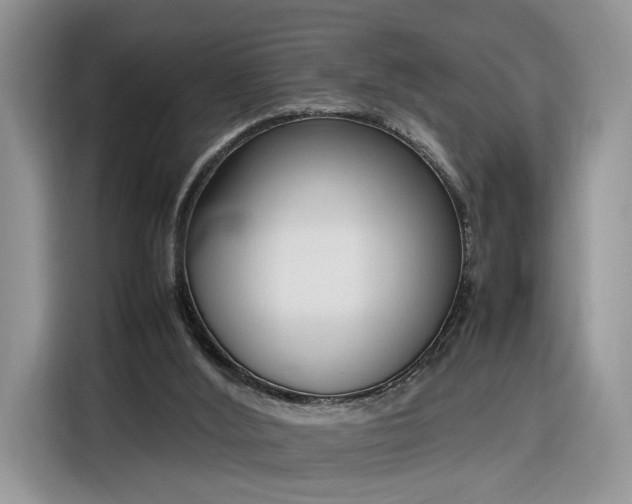 X0000116290012200912071220