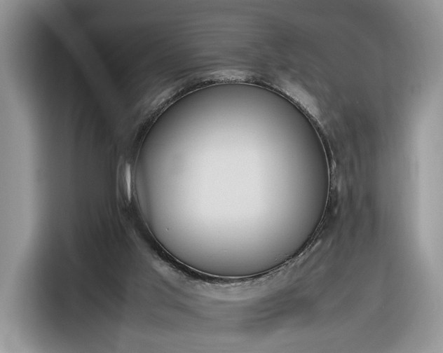 X0000116290013200912071220