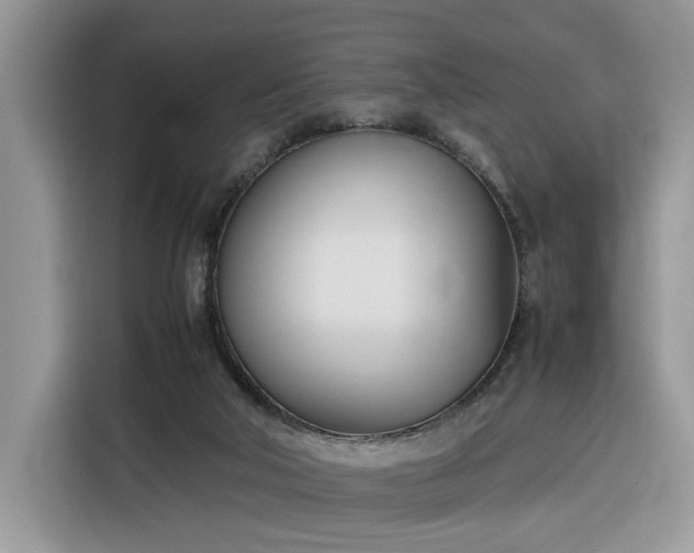 X0000116290018200912071220