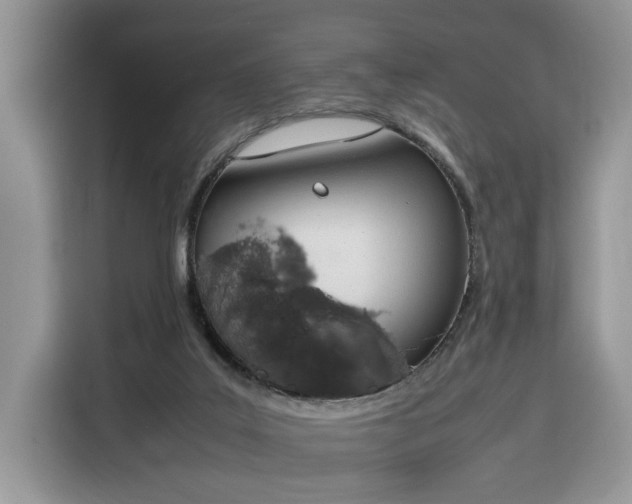 X0000116290019200912071220