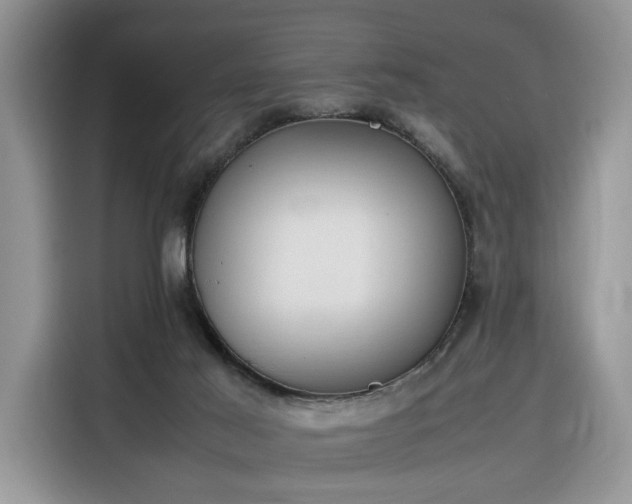 X0000116290021200912071220