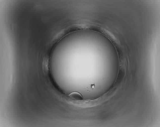 X0000116290023200912071220