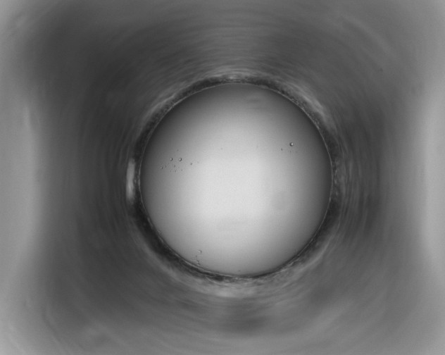 X0000116290024200912071220