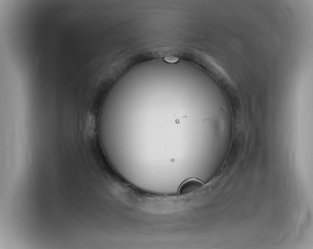 X0000116290025200912071220