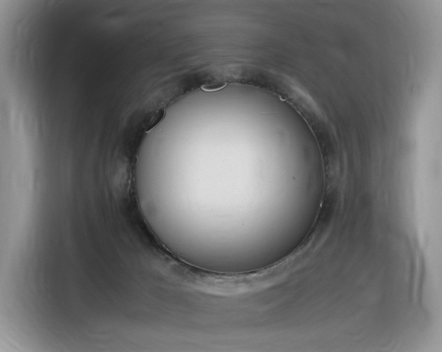 X0000116290029200912071220