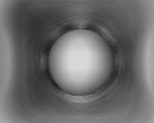 X0000116290030200912071220