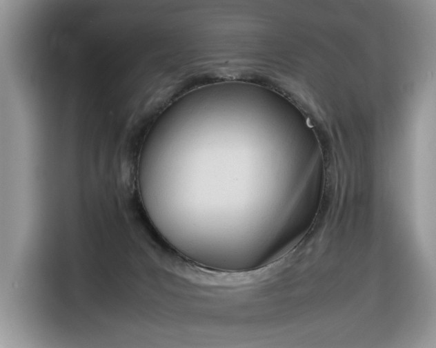 X0000116290031200912071220