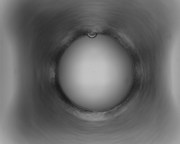 X0000116290032200912071220