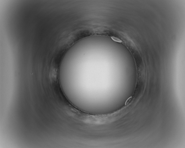 X0000116290033200912071220