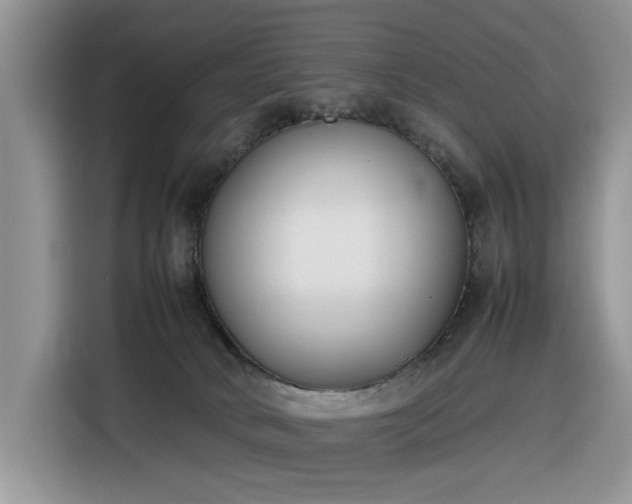 X0000116290034200912071220