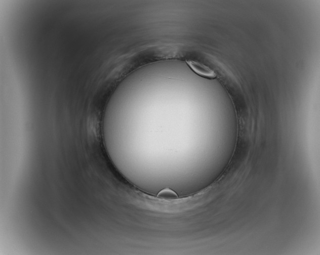 X0000116290035200912071220