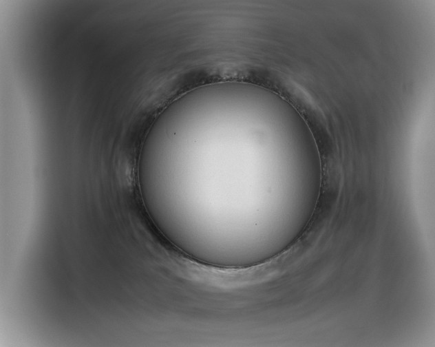 X0000116290039200912071220