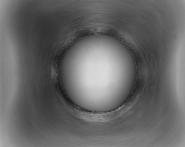 X0000116290040200912071220