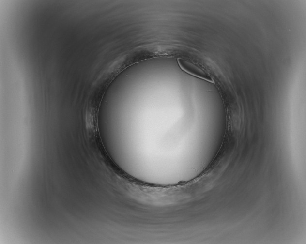 X0000116290044200912071220