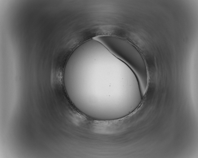 X0000116290045200912071219