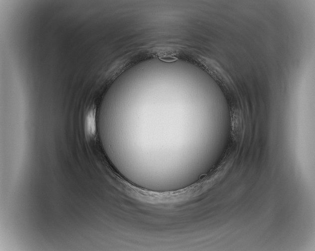 X0000116290046200912071219