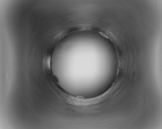 X0000116290047200912071219