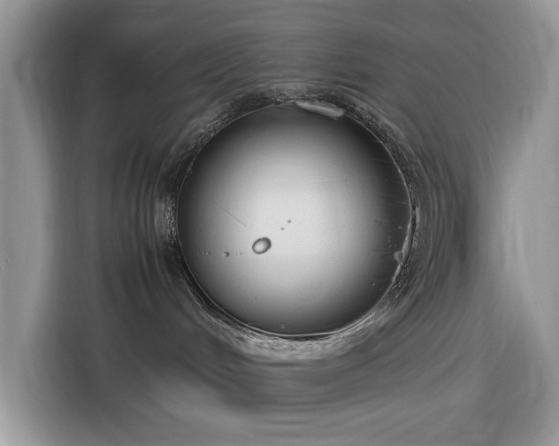 X0000116290048200912071219