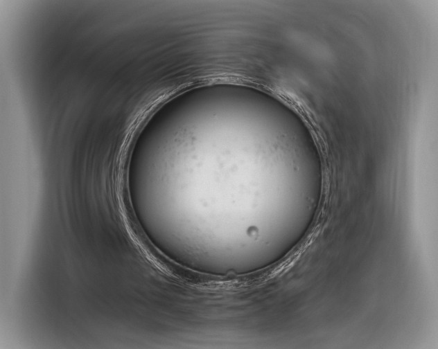 X0000116290049200912071219