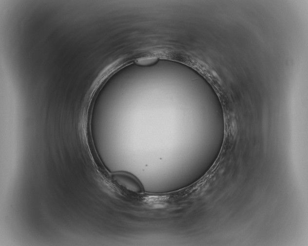 X0000116290051200912071219