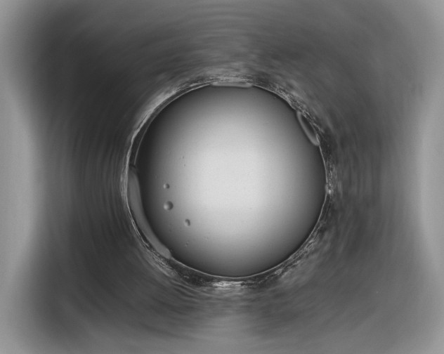 X0000116290052200912071219