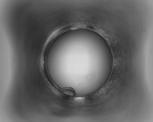 X0000116290053200912071219