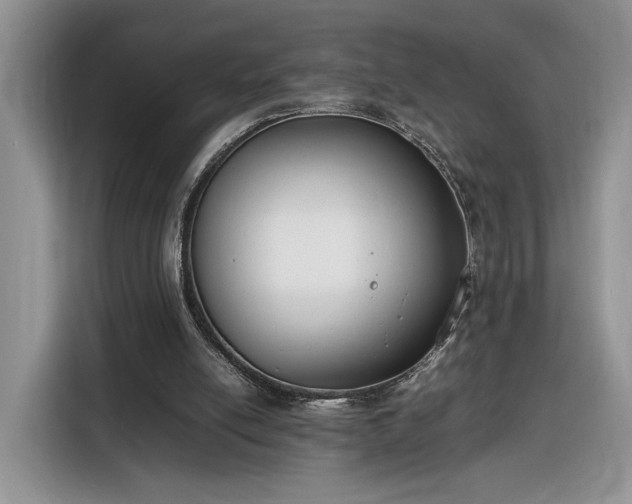 X0000116290054200912071219