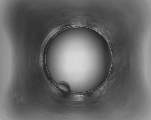 X0000116290055200912071219