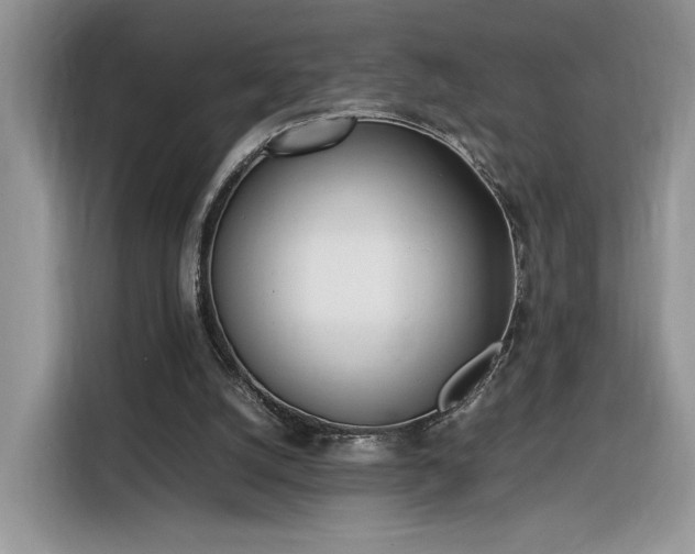 X0000116290056200912071219