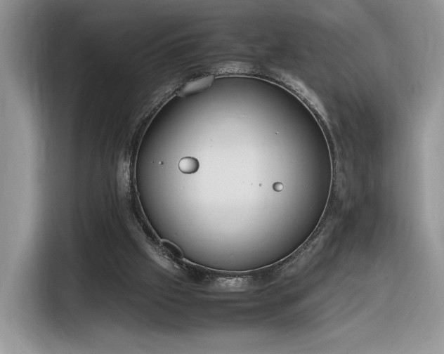 X0000116290057200912071219