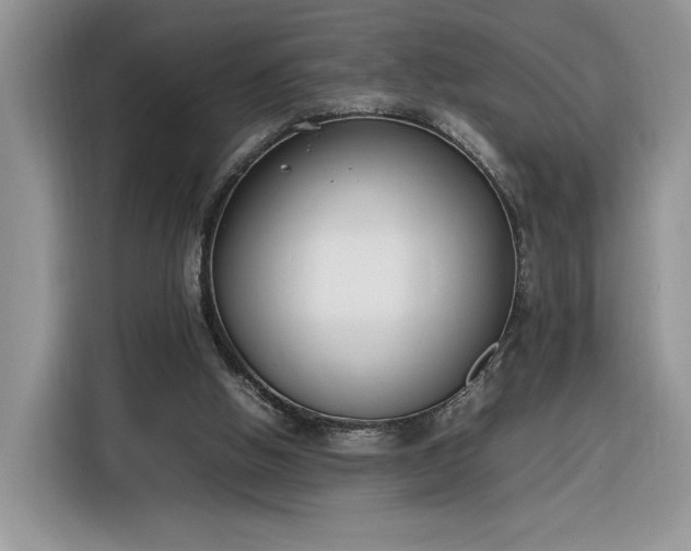 X0000116290058200912071219