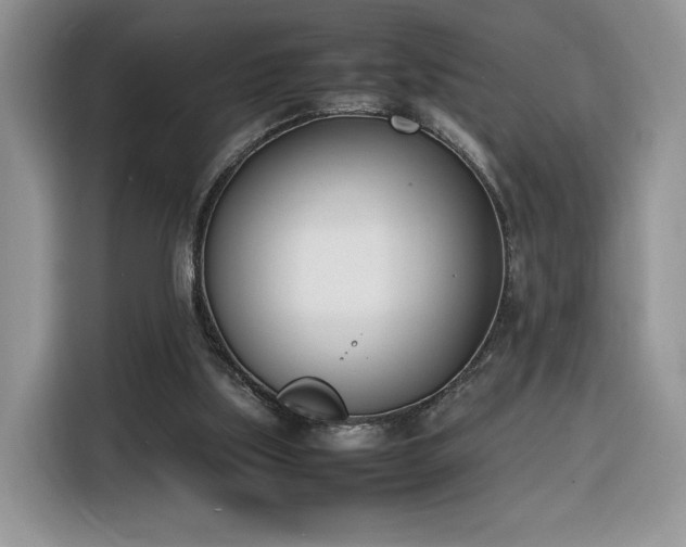 X0000116290059200912071219