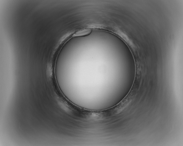 X0000116290060200912071219