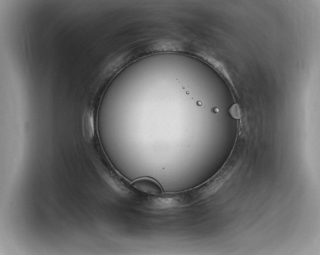 X0000116290061200912071219