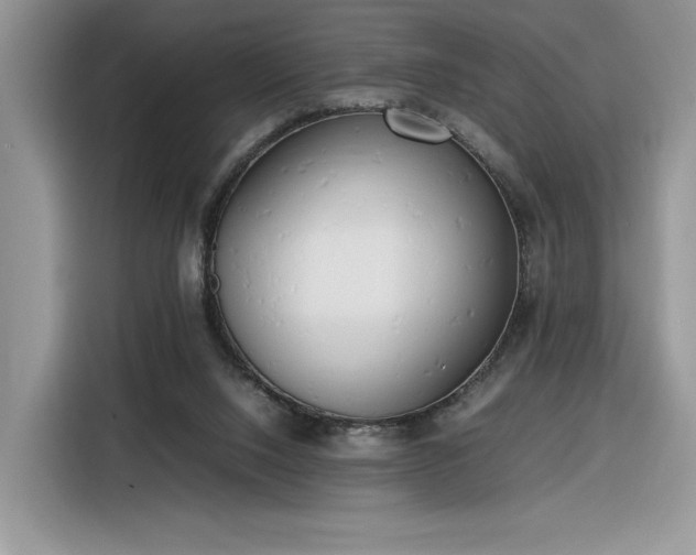 X0000116290064200912071219