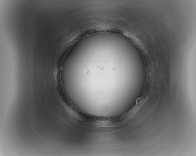 X0000116290066200912071219