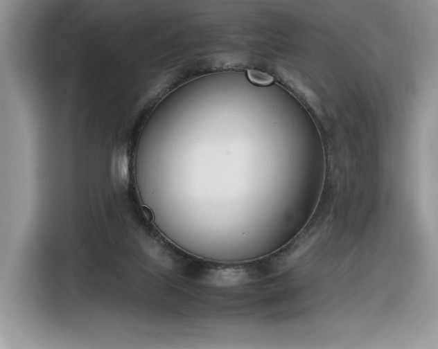 X0000116290067200912071219