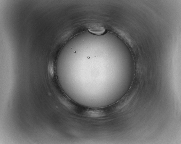 X0000116290069200912071219