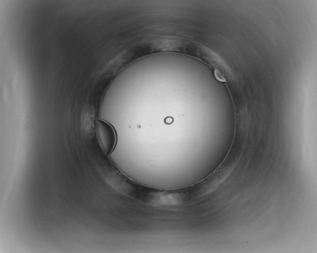 X0000116290073200912071219