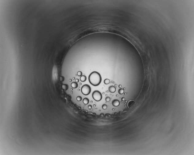 X0000116290075200912071219