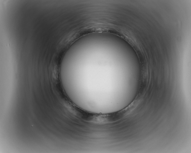 X0000116290078200912071219